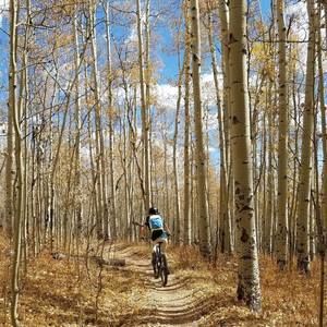 Meet your Posher, Ali